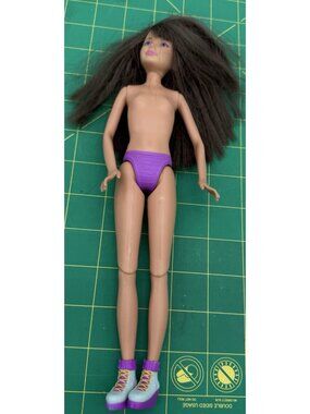 2011 Barbie Skipper Sisters Skateboard Doll Pink Hair Streak
